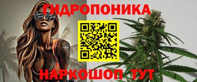 эйфоретик Можга