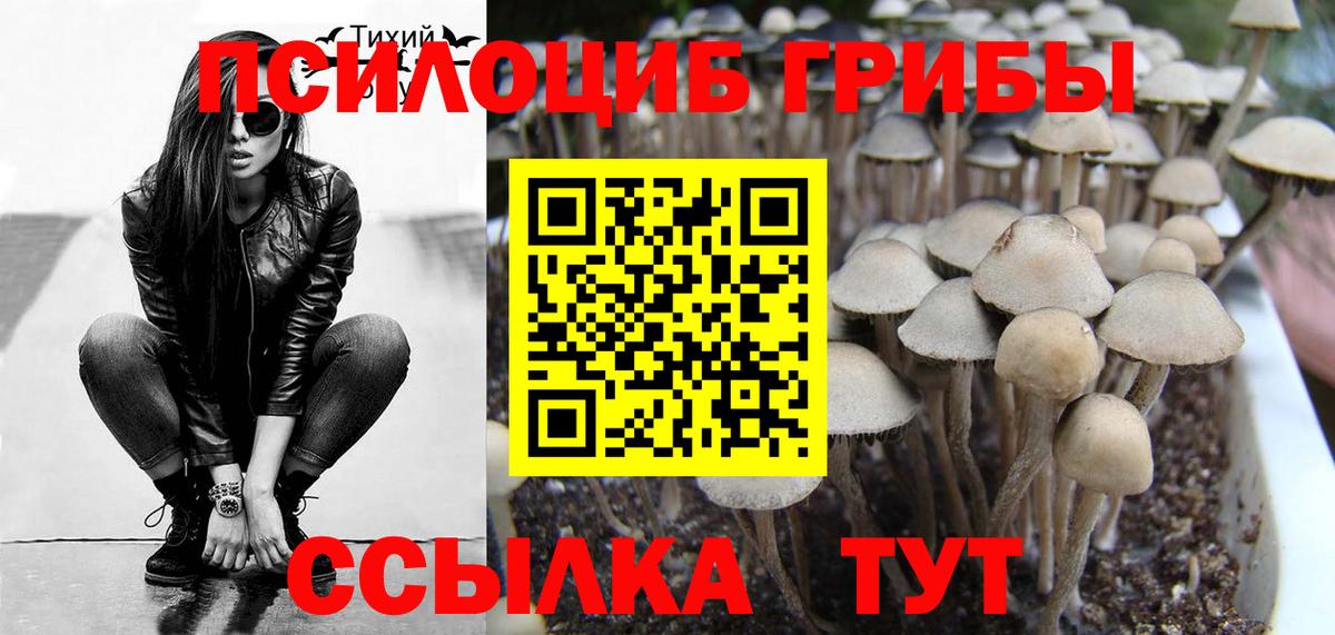 Тверь  Псилоцибиновые грибы ЛСД  как найти   Галлюциногенные грибы Psilocybe  Вход с VPN 