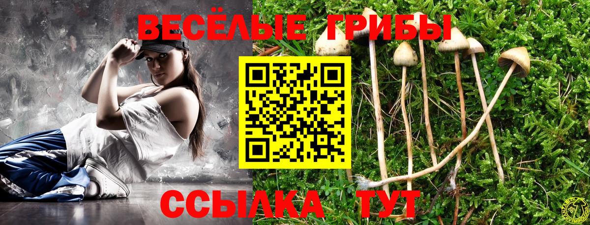 Галлюциногенные грибы мицелий Тверь