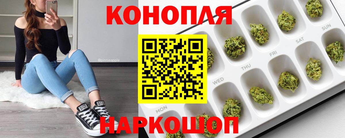 Каннабис планчик Тверь